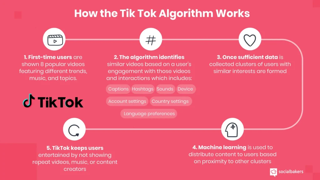 TikTok algorithm works
